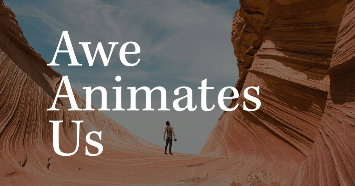 Link to a video talking about on of Sattler's pillars of student culture: Awe Animates Us.